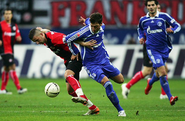 成功击败皇 成功击败皇